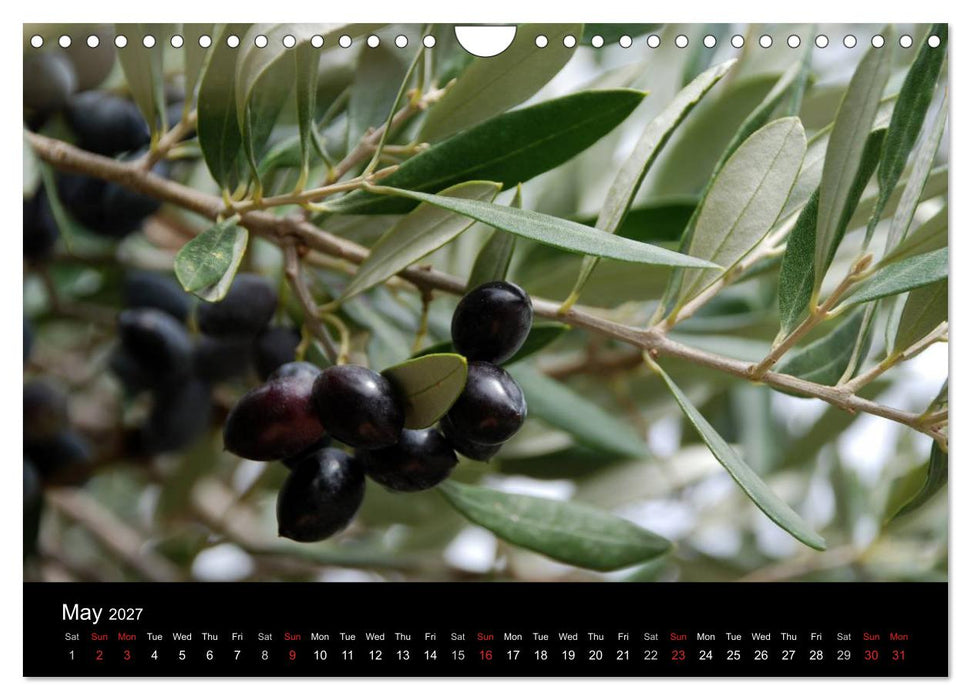 Crete the island of rebels (CALVENDO Monthly Calendar 2027)