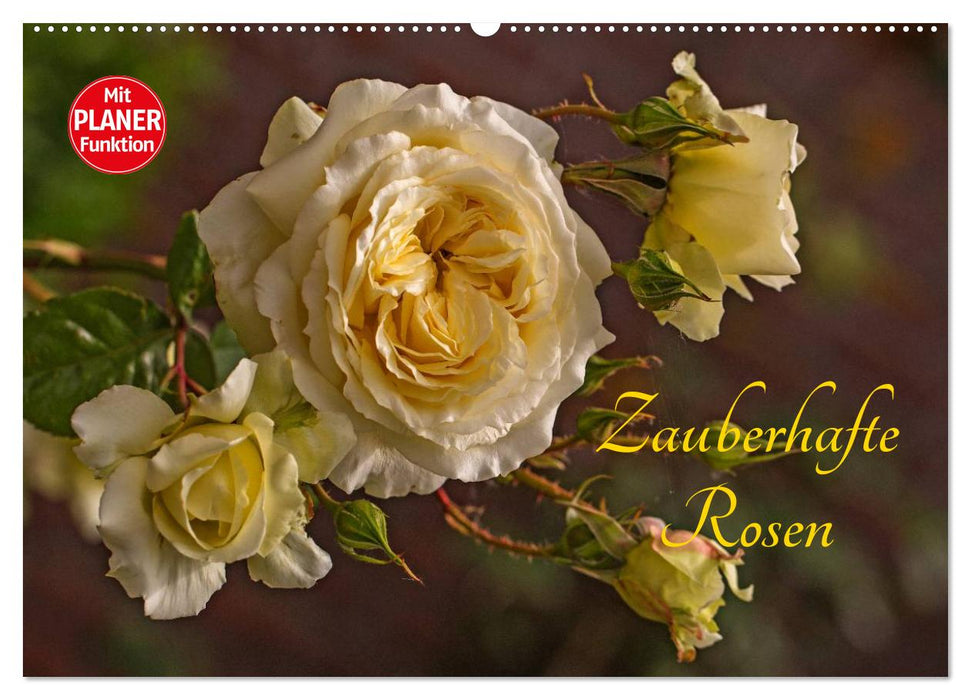Zauberhafte Rosen (CALVENDO Wandkalender 2027)