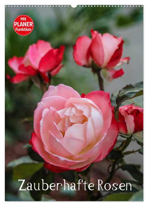 Zauberhafte Rosen (CALVENDO Wandkalender 2027)