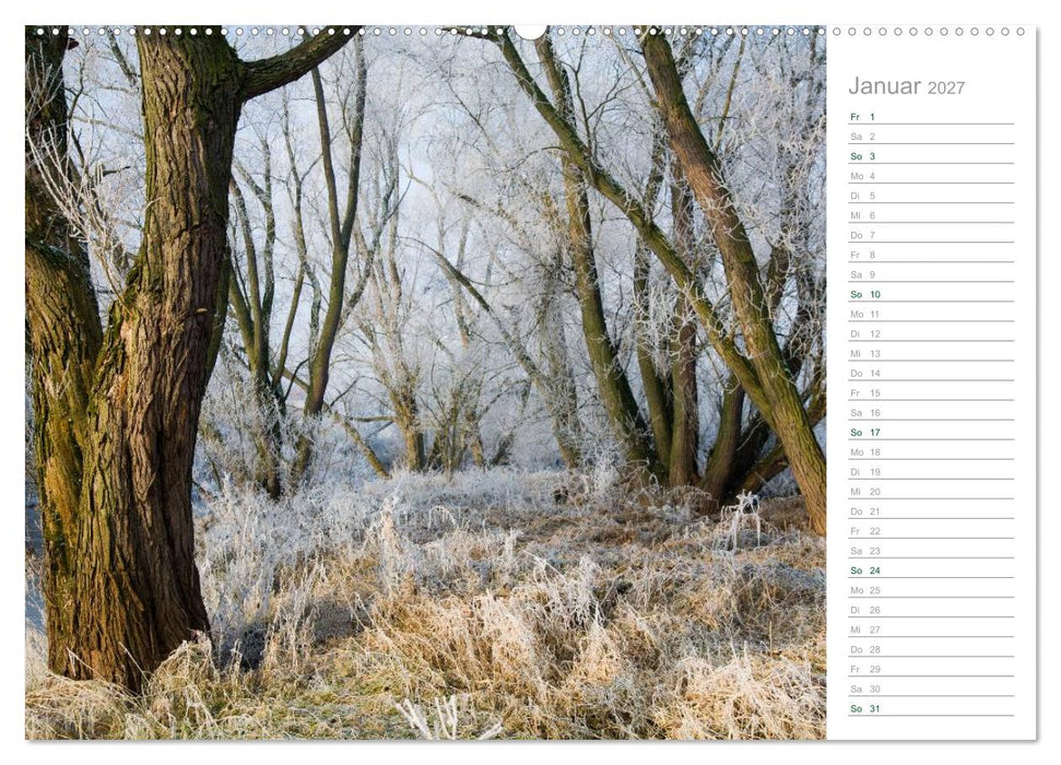 Im Deutschen Wald 2027 - ein Notizkalender (CALVENDO Premium Wandkalender 2027)