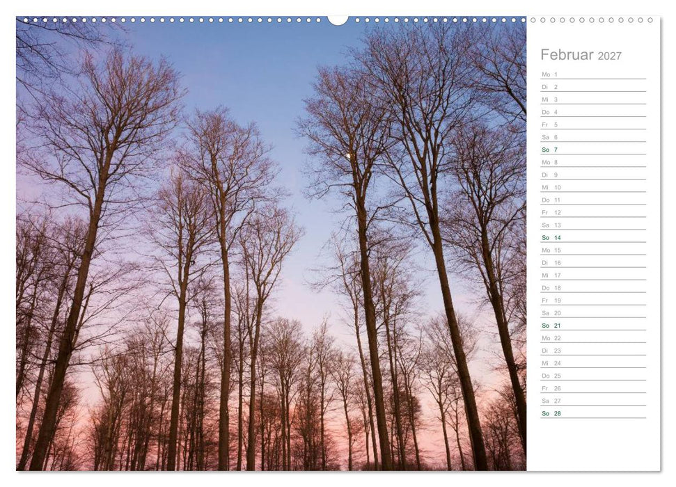 Im Deutschen Wald 2027 - ein Notizkalender (CALVENDO Premium Wandkalender 2027)
