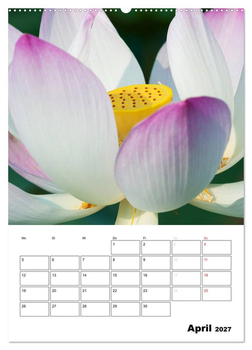 MEDITATION - Wellness für die Seele (CALVENDO Wandkalender 2027)
