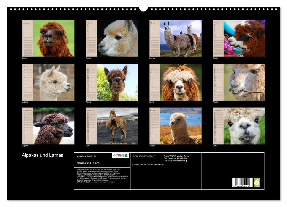 Alpakas und Lamas (CALVENDO Wandkalender 2027)