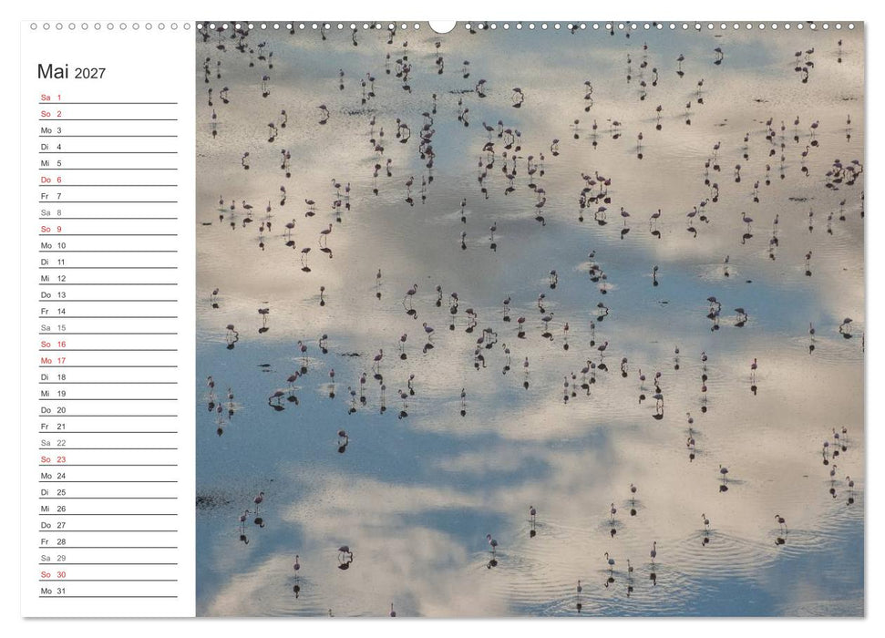 Emotionale Momente: Mein wildes Afrika (CALVENDO Wandkalender 2027)