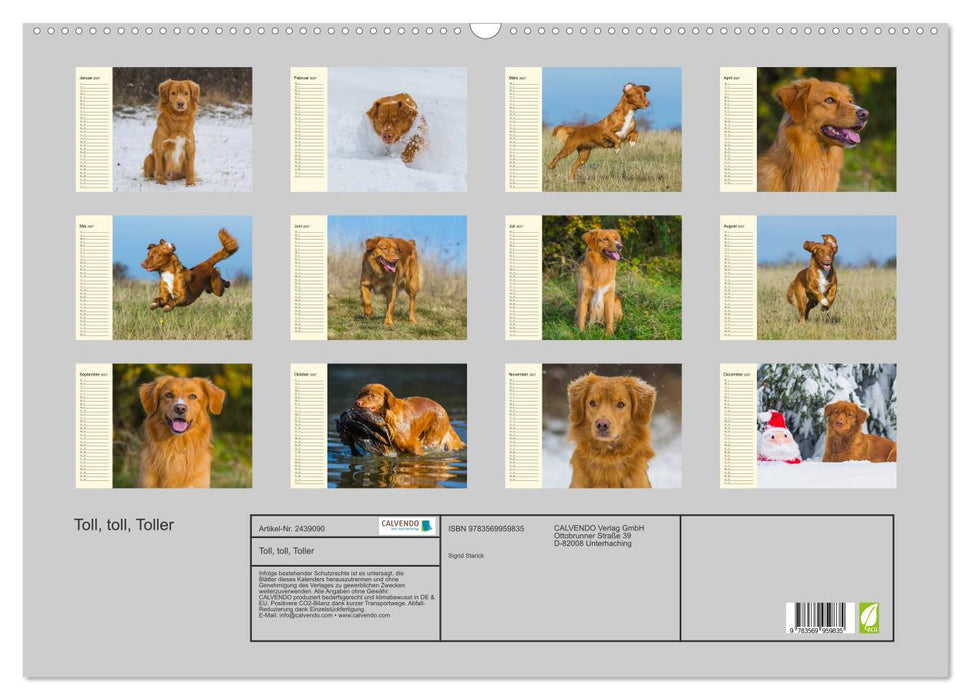 Toll, toll, Toller (CALVENDO Wandkalender 2027)
