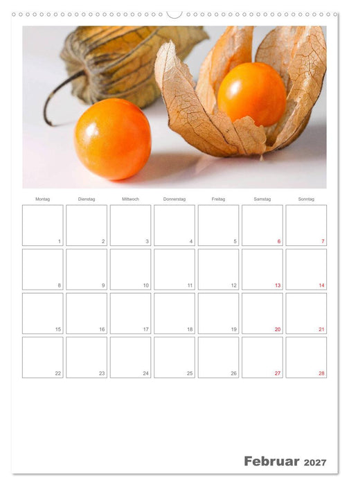 Kulinarische Kompositionen - Terminplaner (CALVENDO Premium Wandkalender 2027)