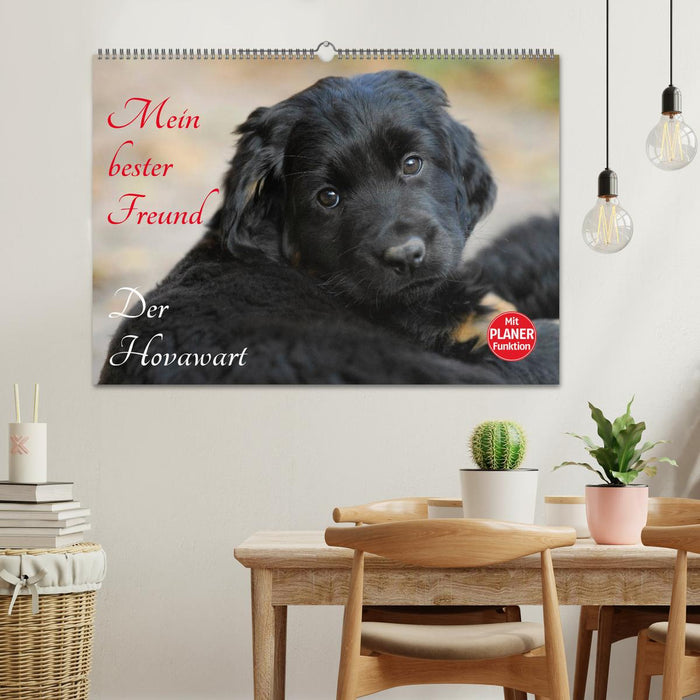 Mein bester Freund - Der Hovawart (CALVENDO Wandkalender 2027)