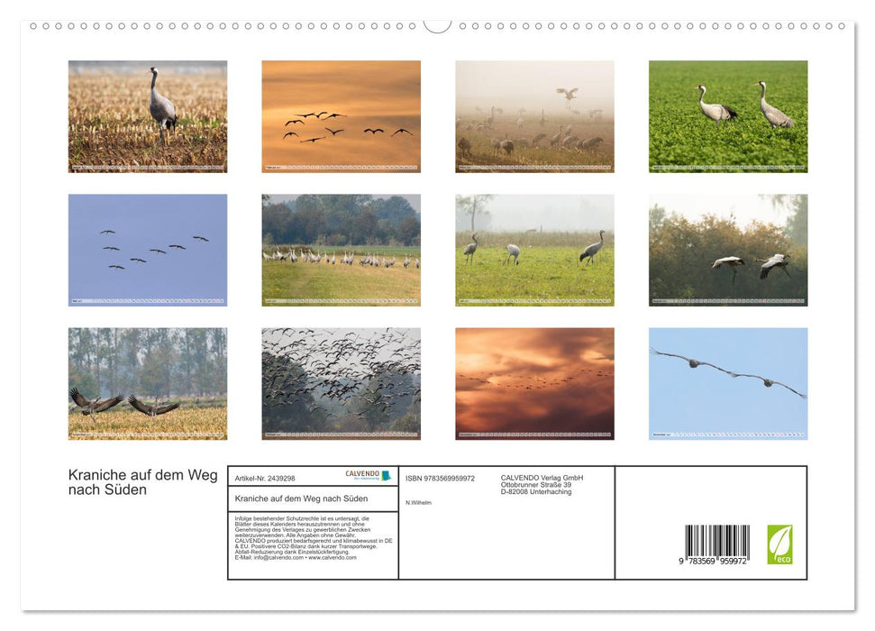 Kraniche auf dem Weg nach Süden (CALVENDO Premium Wandkalender 2027)