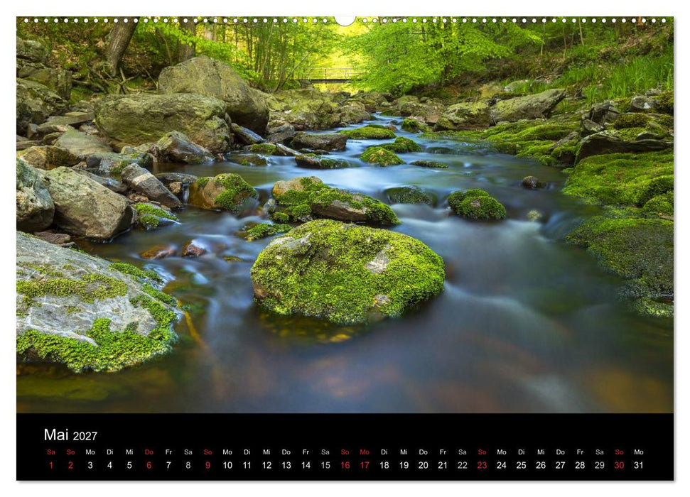 HOHES VENN - Einblicke in ein Hochmoor (CALVENDO Wandkalender 2027)