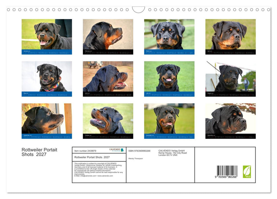 Rottweiler Portait Shots 2027 (CALVENDO Monthly Calendar 2027)