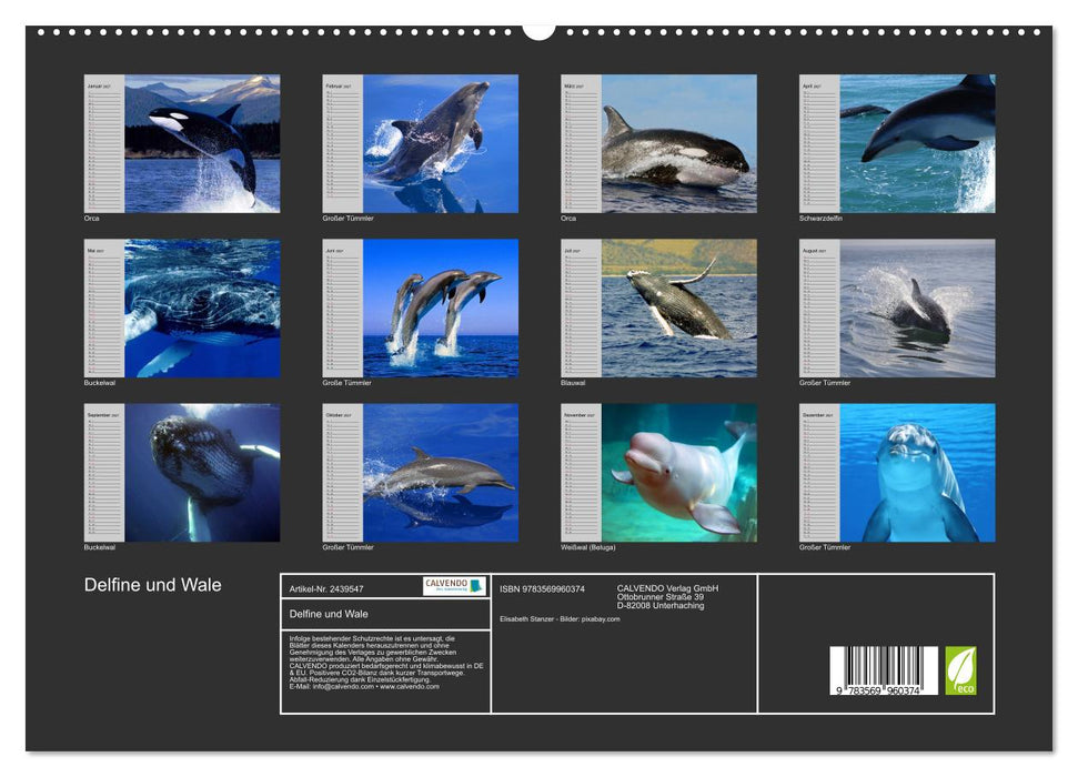 Delfine und Wale (CALVENDO Premium Wandkalender 2027)