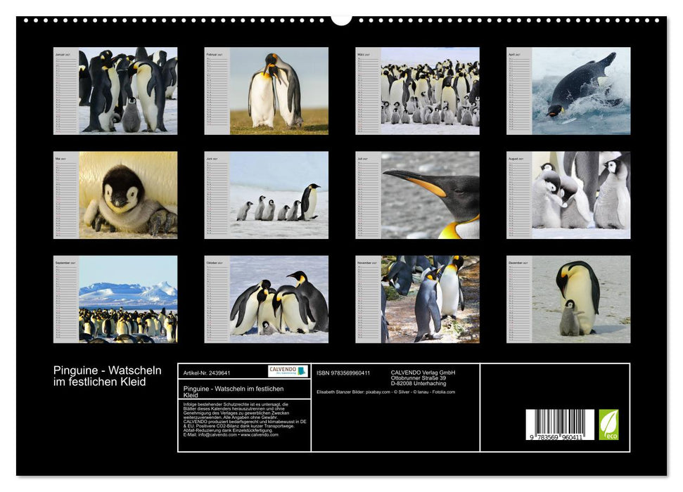 Pinguine - Watscheln im festlichen Kleid (CALVENDO Premium Wandkalender 2027)