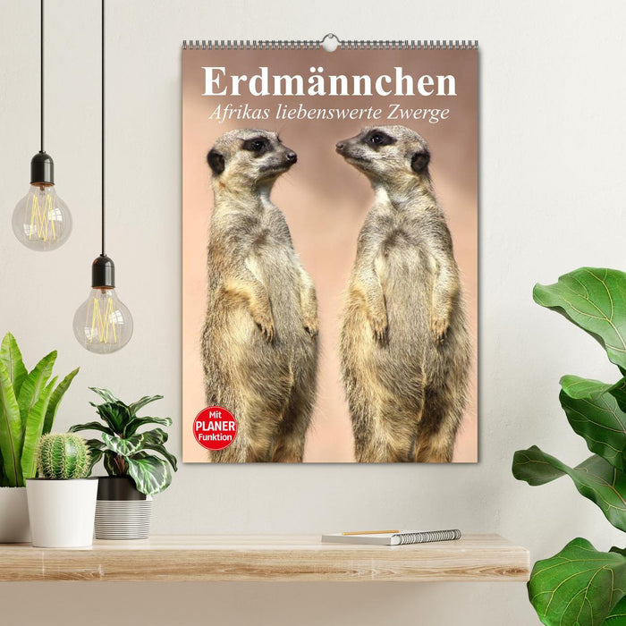 Erdmännchen - Afrikas liebenswerte Zwerge (CALVENDO Wandkalender 2027)