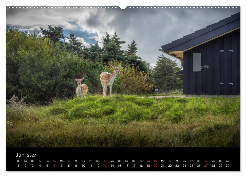 Fanø - Meine Insel (CALVENDO Premium Wandkalender 2027)