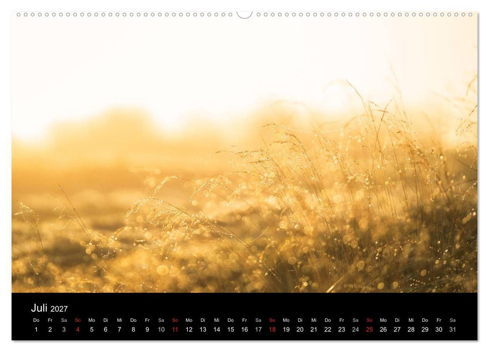 Fanø - Meine Insel (CALVENDO Premium Wandkalender 2027)