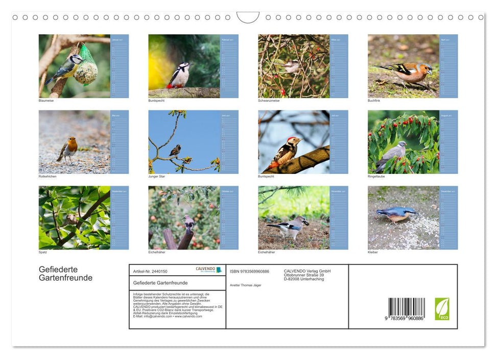Gefiederte Gartenfreunde (CALVENDO Wandkalender 2027)