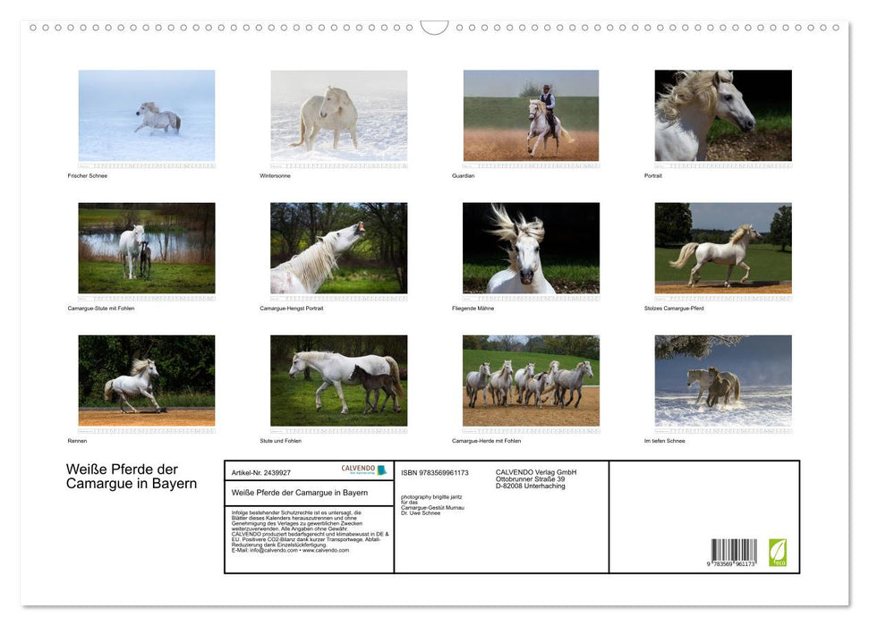 Weiße Pferde der Camargue in Bayern (CALVENDO Wandkalender 2027)