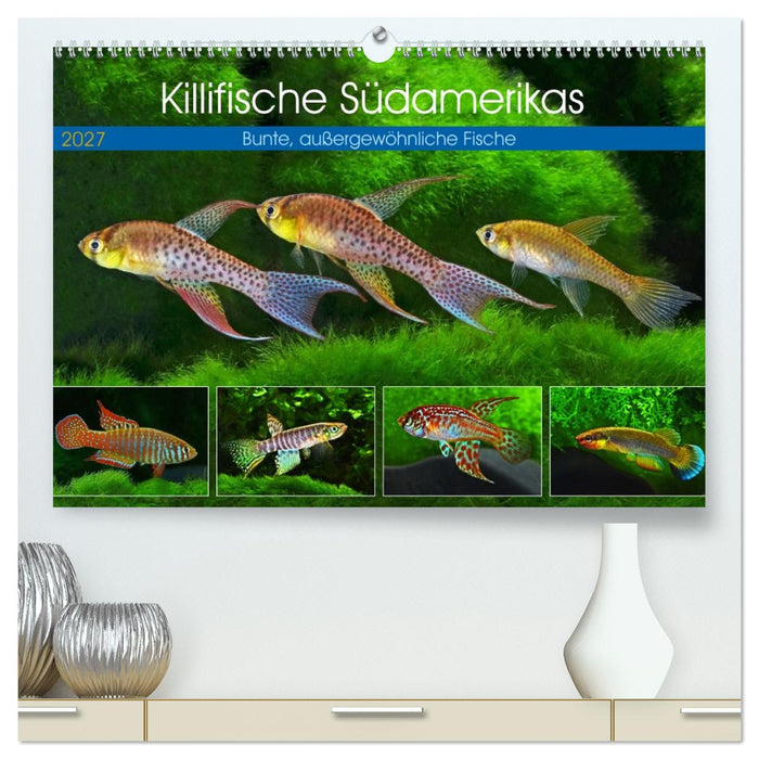Killifische Südamerikas (CALVENDO Premium Wandkalender 2027)
