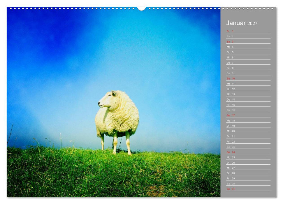 AUF DEM DEICH (CALVENDO Premium Wandkalender 2027)