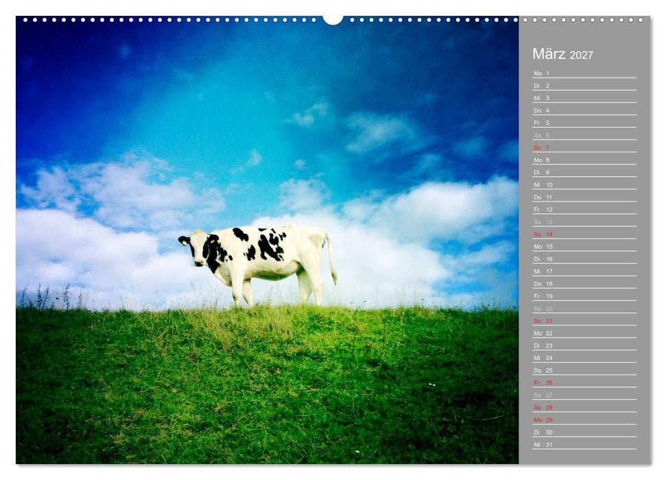 AUF DEM DEICH (CALVENDO Premium Wandkalender 2027)