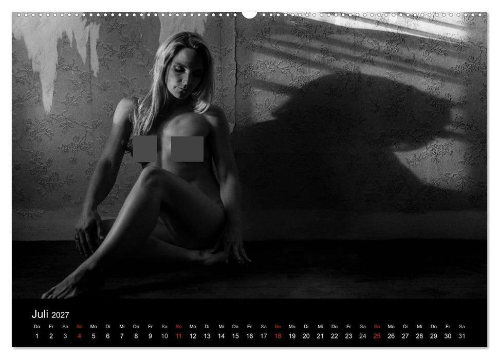 Weibsbilder (CALVENDO Premium Wandkalender 2027)