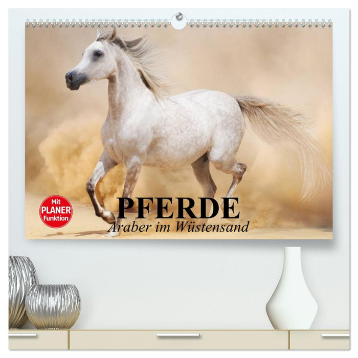 Pferde. Araber im Wüstensand (CALVENDO Premium Wandkalender 2027)