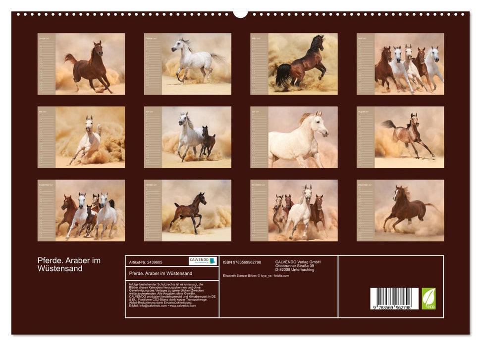 Pferde. Araber im Wüstensand (CALVENDO Premium Wandkalender 2027)