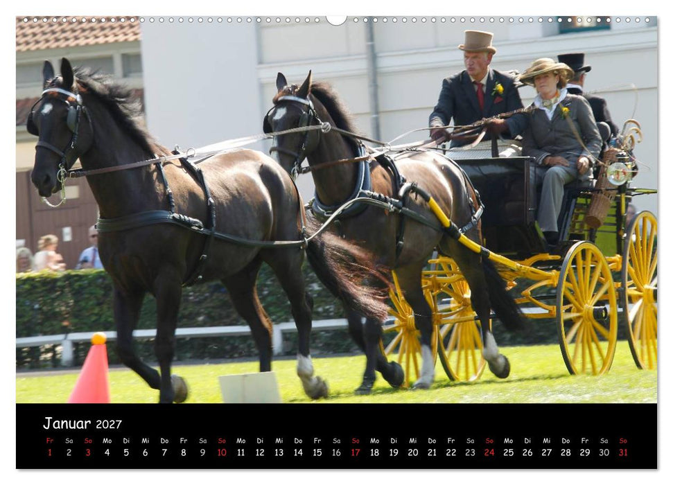 CIAT - Historischer Fahrsport in Celle (CALVENDO Wandkalender 2027)