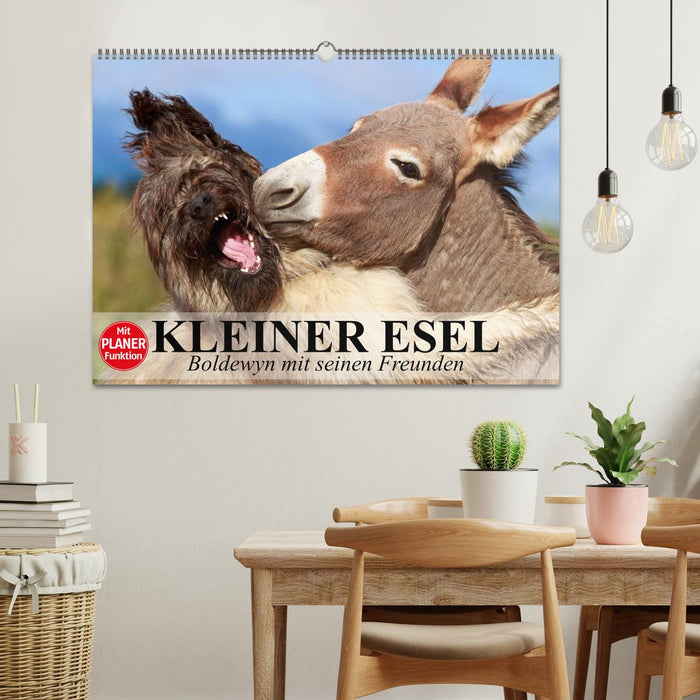 Kleiner Esel. Boldewyn mit seinen Freunden (CALVENDO Wandkalender 2027)