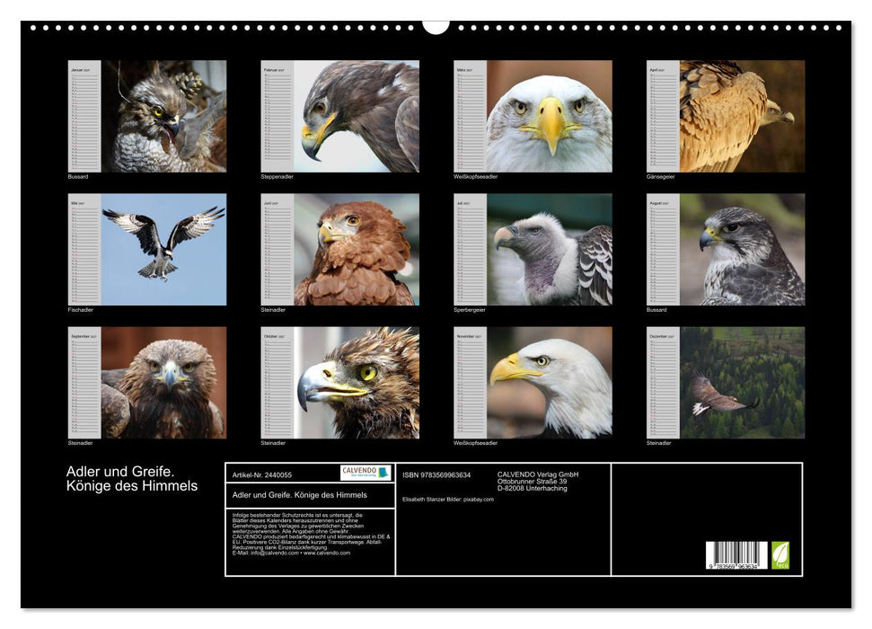 Adler und Greife. Könige des Himmels (CALVENDO Wandkalender 2027)