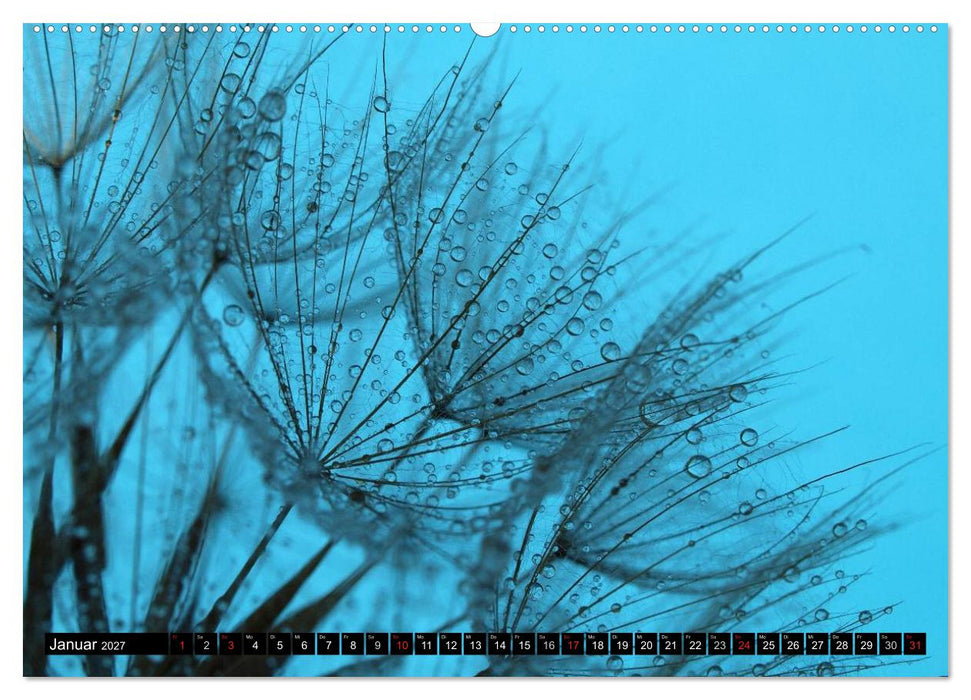 Wassertropfen - Diamanten des Lebens (CALVENDO Wandkalender 2027)