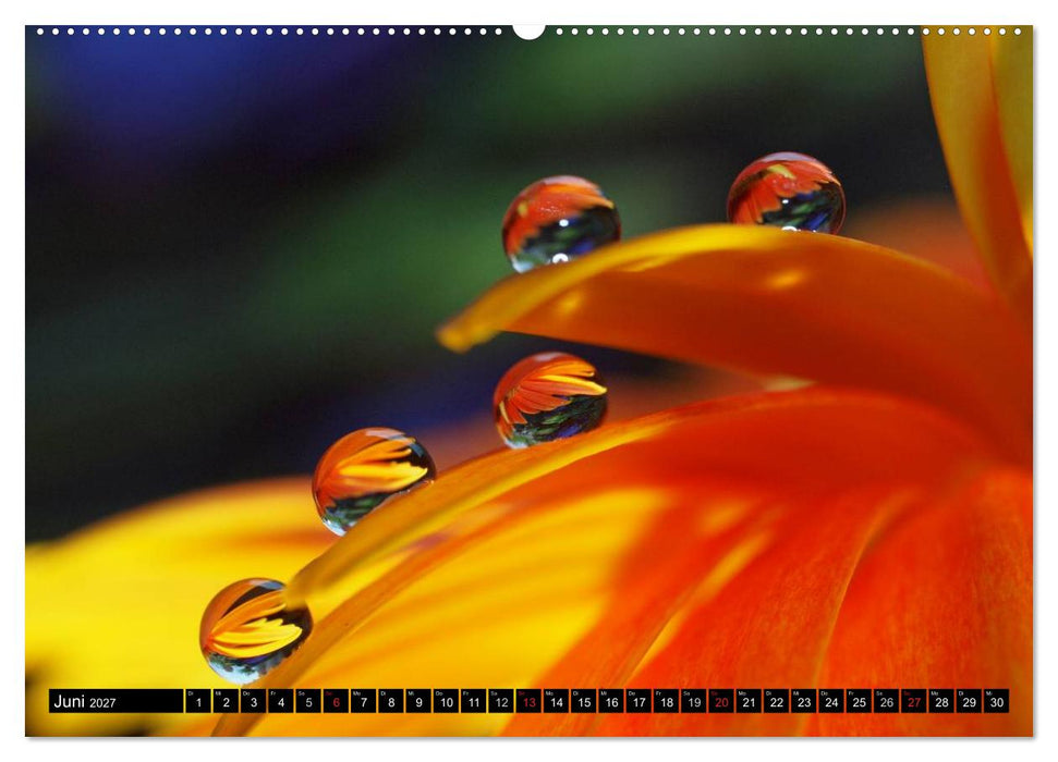 Wassertropfen - Diamanten des Lebens (CALVENDO Wandkalender 2027)