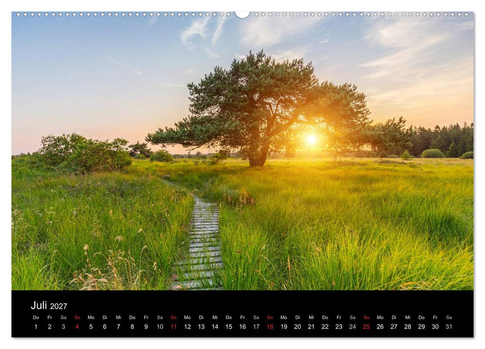 HOHES VENN - Einblicke in ein Hochmoor (CALVENDO Premium Wandkalender 2027)