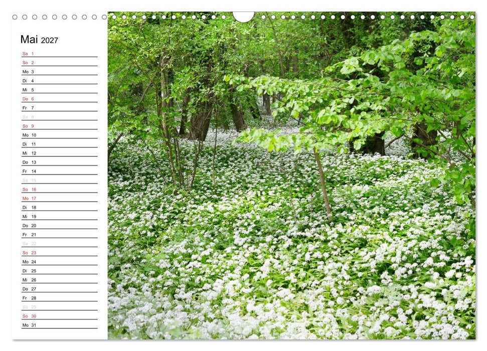 Die Jahreszeiten im Havelland (CALVENDO Wandkalender 2027)
