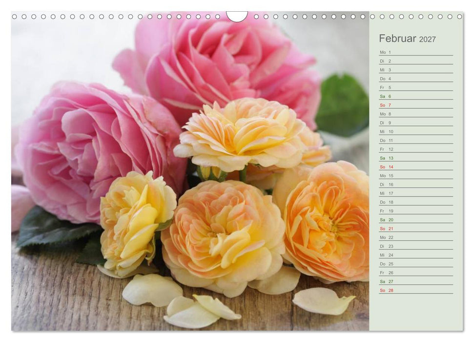 Rosen, Rosen... arrangiert und am Strauch (CALVENDO Wandkalender 2027)