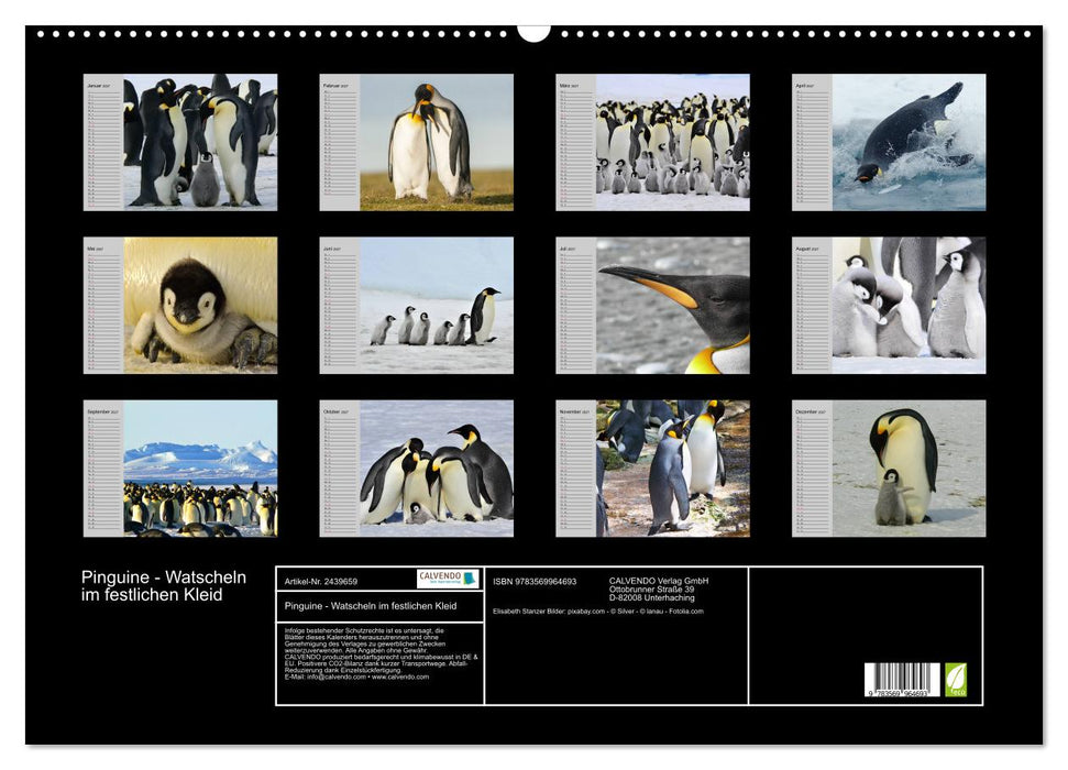 Pinguine - Watscheln im festlichen Kleid (CALVENDO Wandkalender 2027)