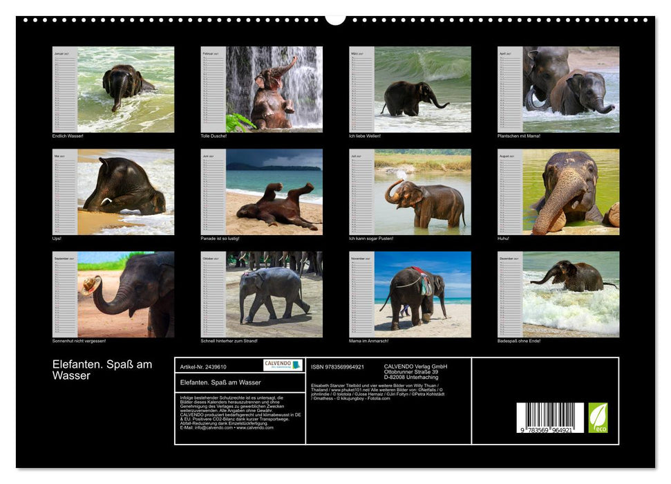 Elefanten. Spaß am Wasser (CALVENDO Premium Wandkalender 2027)