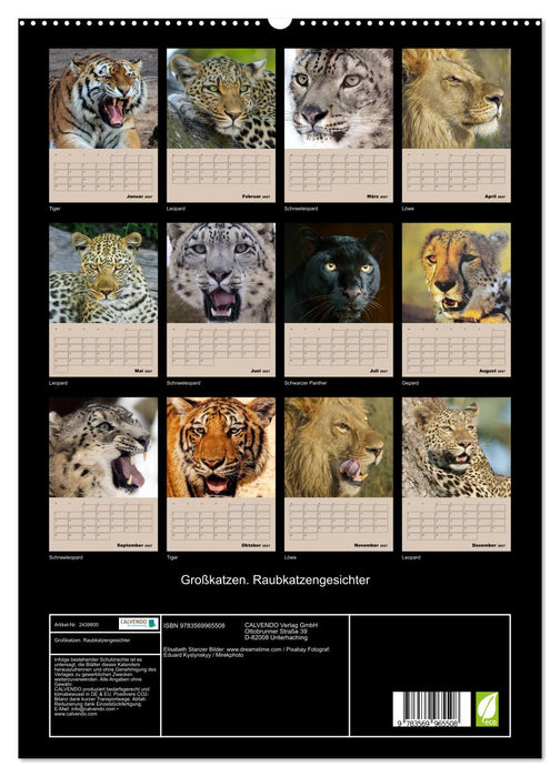 Großkatzen. Raubkatzengesichter (CALVENDO Premium Wandkalender 2027)