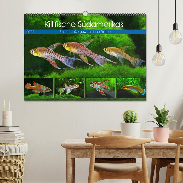 Killifische Südamerikas (CALVENDO Wandkalender 2027)