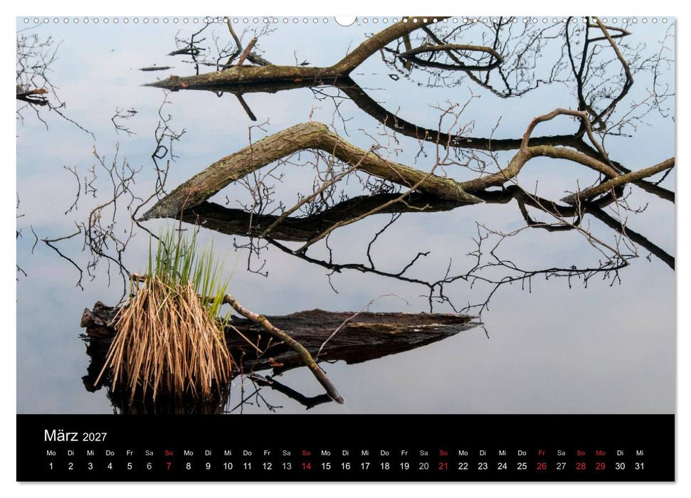 Gesehen auf - Rügen und Hiddensee (CALVENDO Wandkalender 2027)