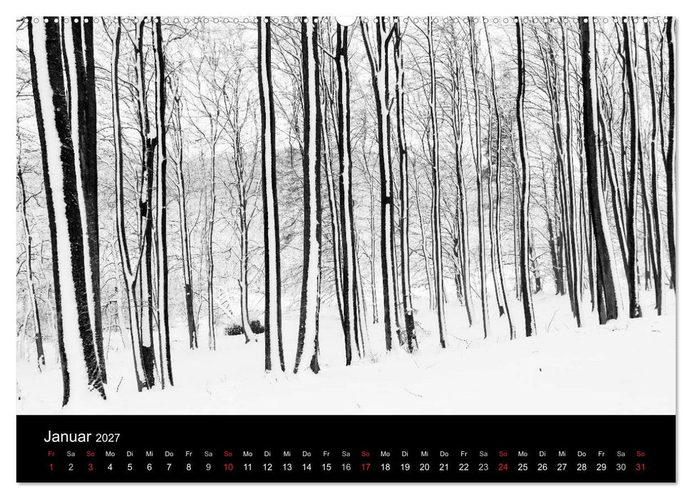 Gesehen auf - Rügen und Hiddensee (CALVENDO Premium Wandkalender 2027)