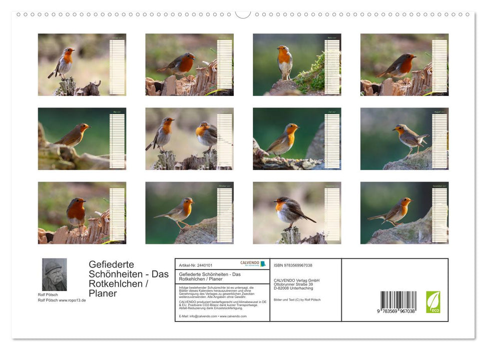 Gefiederte Schönheiten - Das Rotkehlchen / Planer (CALVENDO Premium Wandkalender 2027)