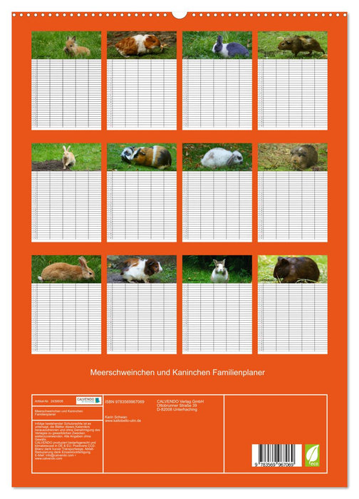 Meerschweinchen und Kaninchen Familienplaner (CALVENDO Premium Wandkalender 2027)