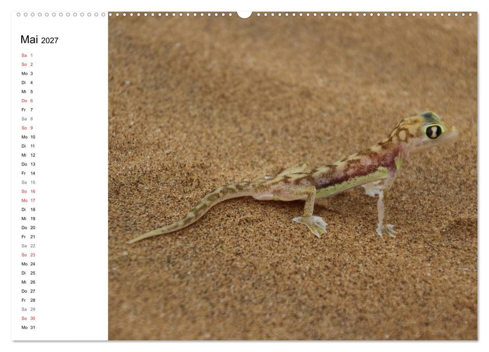 Namibia - Tierische Vielfalt (Planer) (CALVENDO Wandkalender 2027)