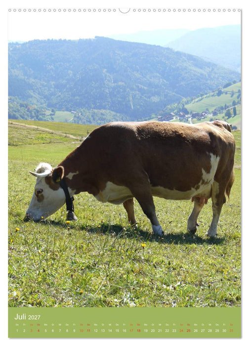 Schwarzwald und Kühe im Hochformat (CALVENDO Premium Wandkalender 2027)