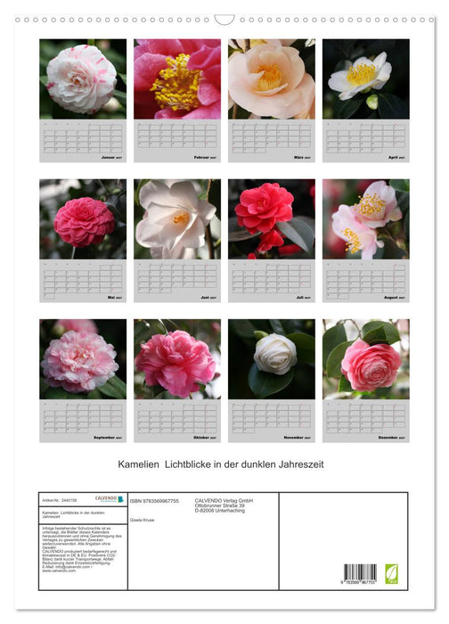 Kamelien Lichtblicke in der dunklen Jahreszeit (CALVENDO Wandkalender 2027)