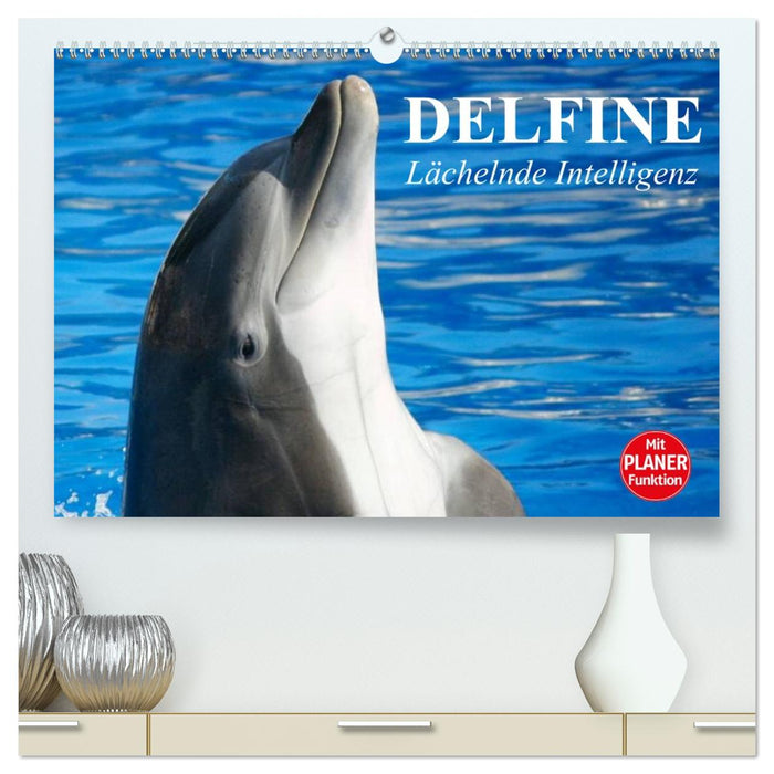 Delfine - Lächelnde Intelligenz (CALVENDO Premium Wandkalender 2027)