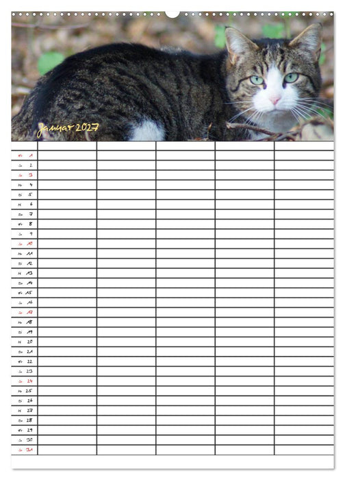 Bauernhoftiere Familienplaner (CALVENDO Wandkalender 2027)