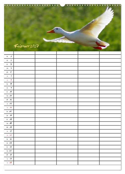 Bauernhoftiere Familienplaner (CALVENDO Wandkalender 2027)