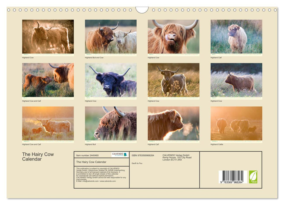 The Hairy Cow Calendar (CALVENDO Monthly Calendar 2027)